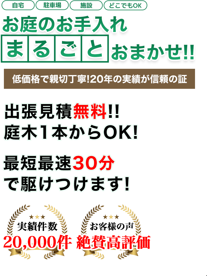 お庭のお手入れ 町の伐採屋さん さいたま店へまるごとお任せ！低価格で親切丁寧！20年の実績が信頼の証